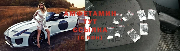 мет Галич