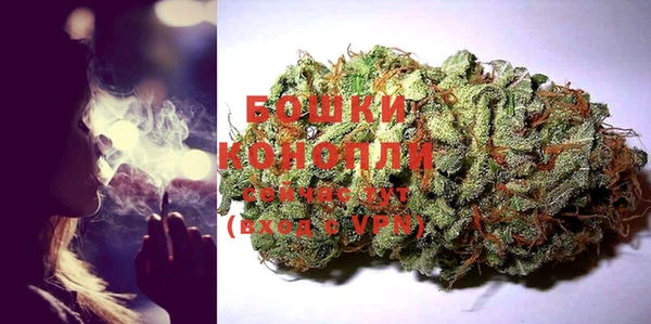стафф Гатчина
